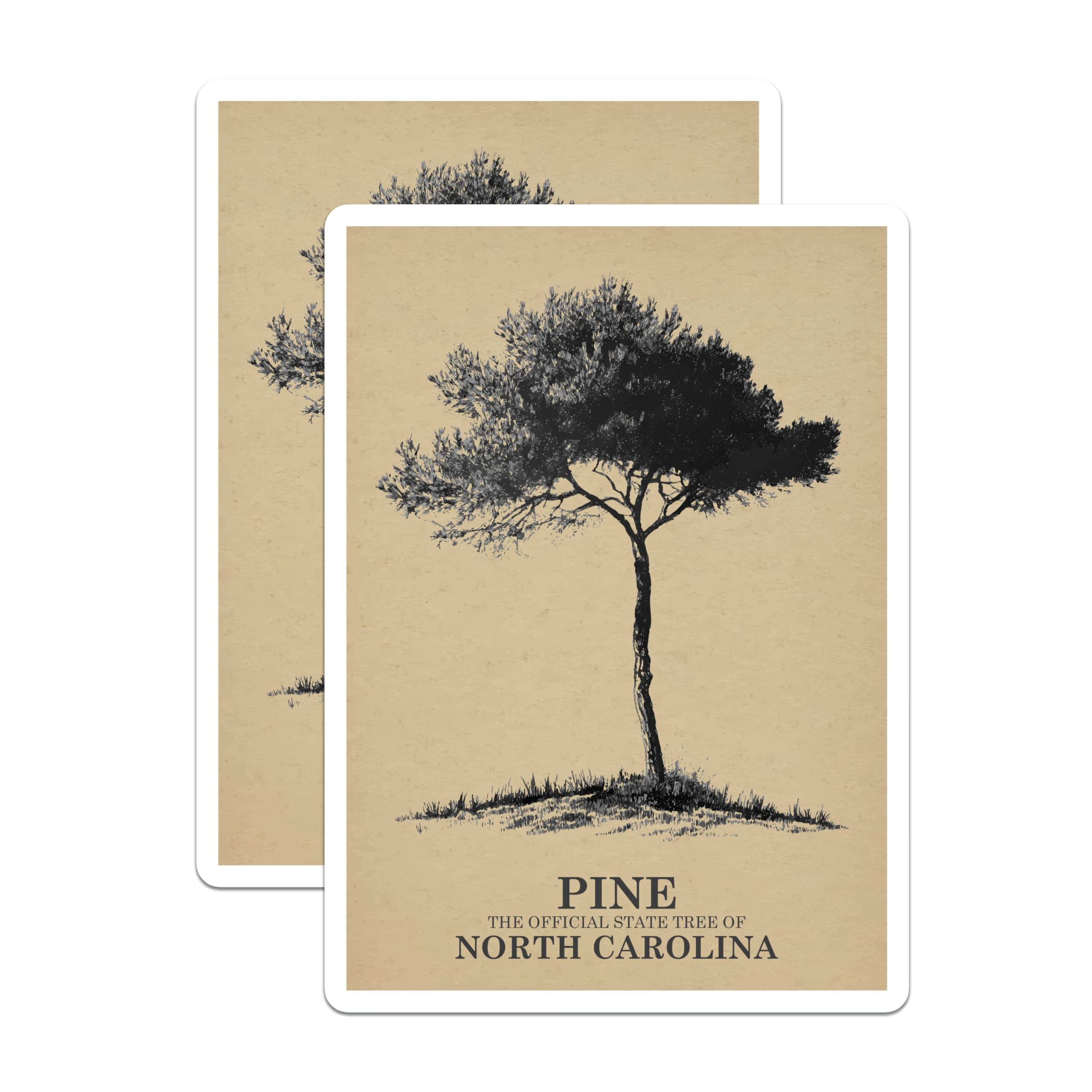 (2 Pack) Pine Tree Magnets - North Carolina Decor - State Tree Souvenirs - 5" On Longest Side - Premium Magnet - for Cars, Refrigerators, Toolboxes, Lockers - Made in USA - MAG17514