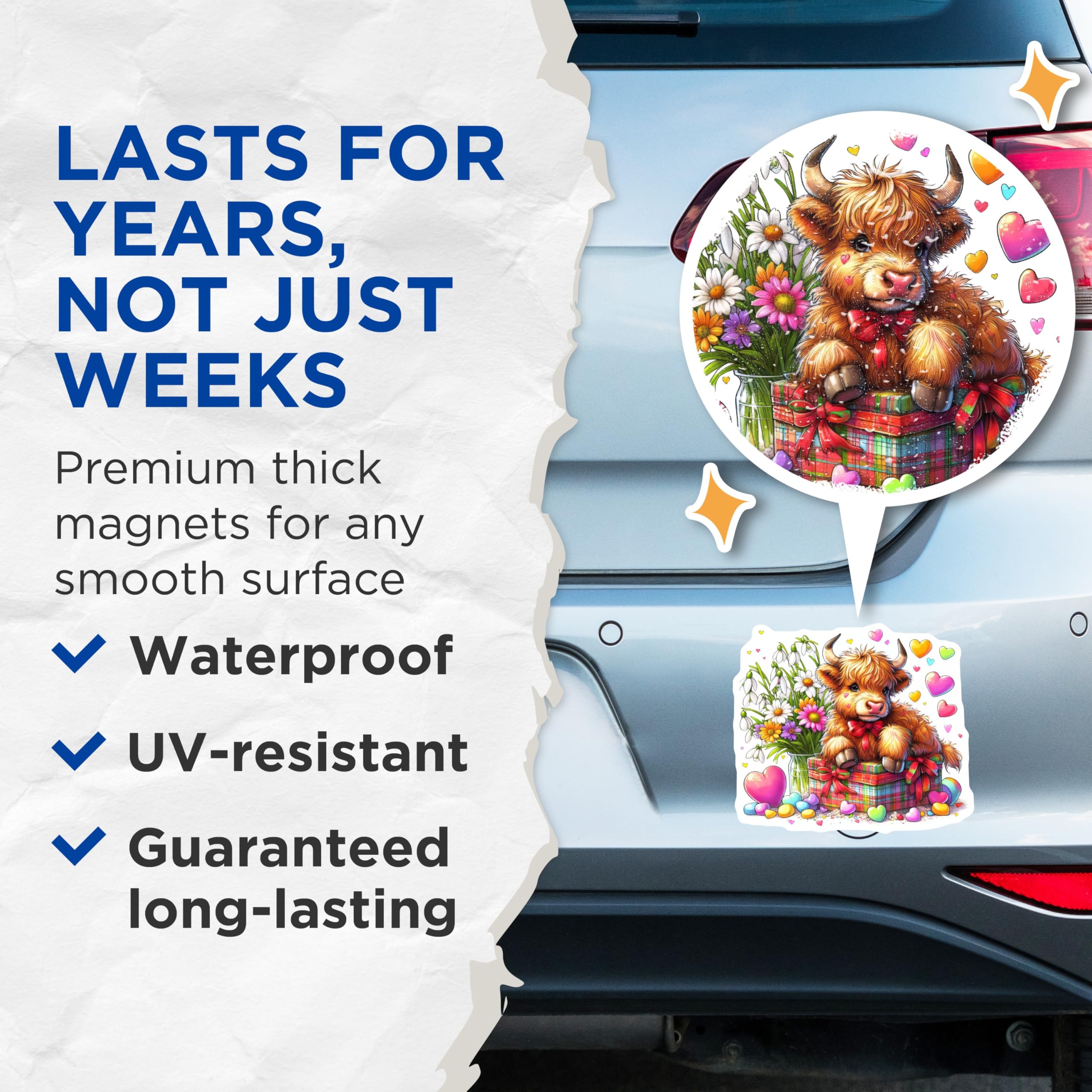 (2 Pack) Highland Cow Magnets - Cute Animal Magnets - Decorative Fridge Magnets - 5" On Longest Side - Premium Magnet - for Cars, Refrigerators, Toolboxes, Lockers - Made in USA - MAG15951