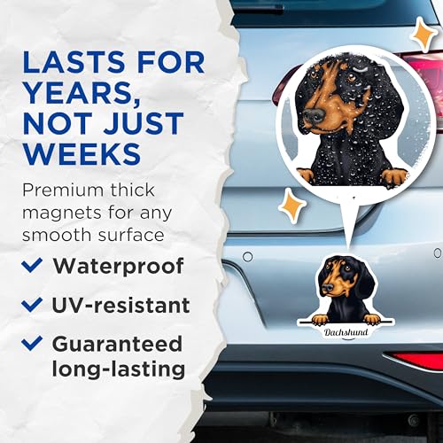 (2 Pack) Dachshund Dog Magnets - Cute Dog Art - Refrigerator Magnets - Pet Lover - Animal Magnets - Kitchen - 5" On Longest Side - for Cars, Fridges, Toolboxes - Made in USA - MAG4227