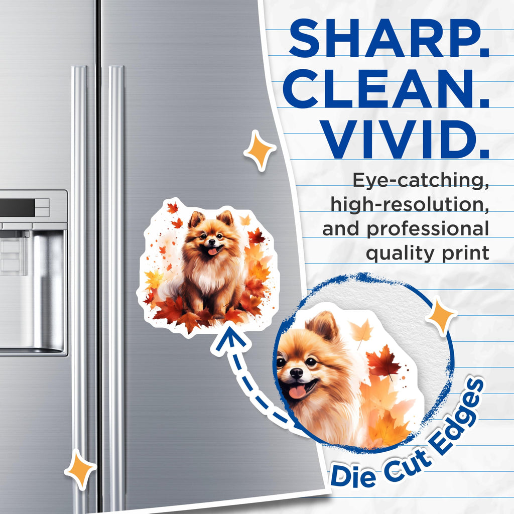 (2 Pack) Pomeranian Magnets - Cute Fall Dog Decor - Autumn Pet Lover Art - Seasonal Refrigerator Accessories - 5 Inches On Longest Side - Thick Durable Magnet - Made in USA - MAG26572