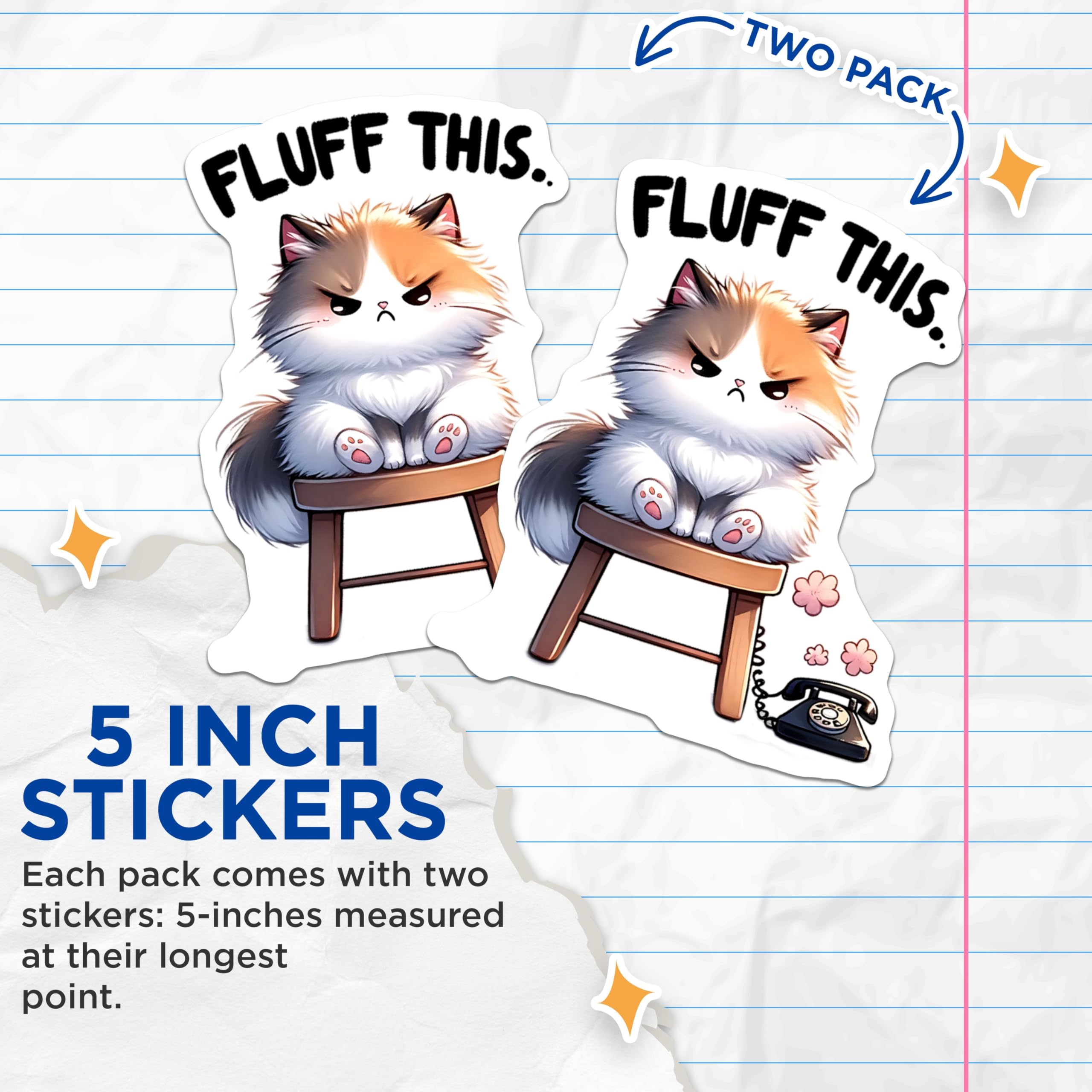 (2 Pack) Grumpy Cat Stickers - Fluffy Cat Art - Sassy Kitten - 5" On Longest Side - Sticks to Smooth Flat Surfaces - Made in USA - BMCS15364