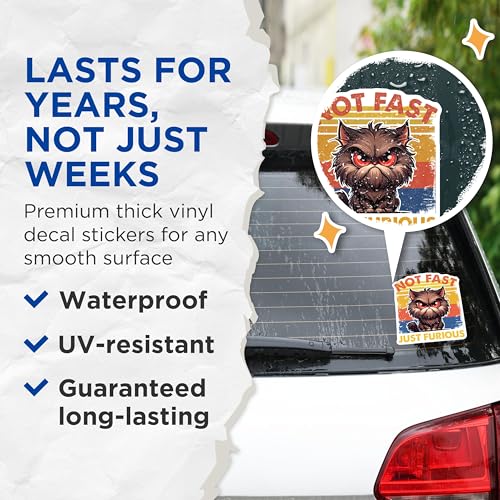 (2 Pack) Not Fast Just Furious Stickers - Cute Cat Illustration - Funny Cat Lover Decal - 5" On Longest Side - Sticks to Smooth Flat Surfaces - Made in USA - BMCS7342