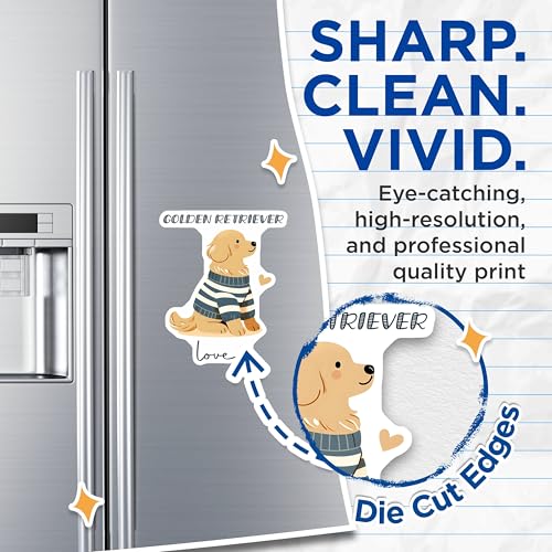 (2 Pack) Golden Retriever Magnets - Dog Lover Decor - Cute Pet Fridge Accessories - 5" On Longest Side - for Cars, Fridges, Toolboxes - Made in USA - MAG7303