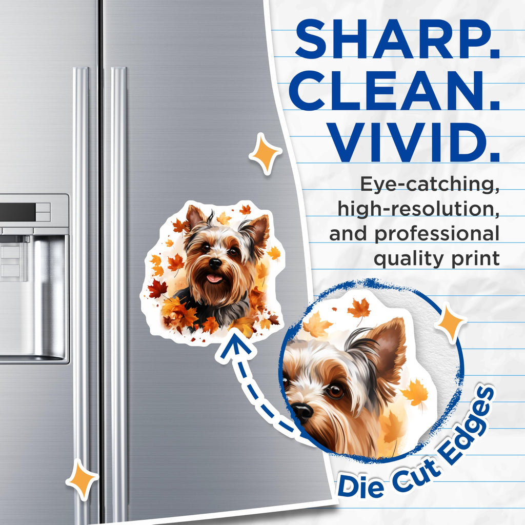 (2 Pack) Yorkshire Terrier Dog Magnets - Autumn Fall Leaves - Cute Yorkie Pet Owner Present - Fridge Locker Decor - 5 Inches On Longest Side - Thick Durable Magnet - Made in USA - MAG25183