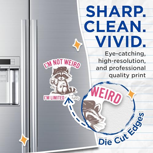 (2 Pack) I'm Not Weird Magnets - Limited Edition Raccoon Magnets - Cute Animal Magnets - Funny Quote Magnets- 5" On Longest Side - for Fridges, Toolboxes, Cars - Made in USA - MAG2565
