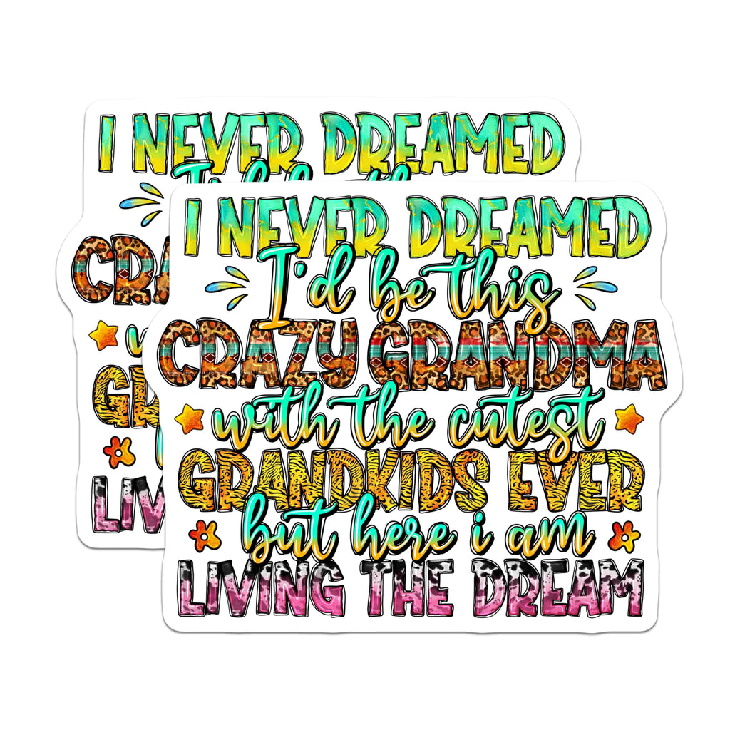 (2 Pack) Crazy Grandma Magnets - Cutest Grandkids Ever - Proud Grandma Mother's Day - 5 Inches On Longest Side - Thick Durable Magnet - Made in USA - MAG30395