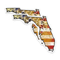 (2 Pack) Florida State Magnets - Distressed Florida Map - Decorative Refrigerator Magnets - 5" On Longest Side - Premium Magnet - for Cars, Refrigerators, Toolboxes, Lockers - Made in USA - MAG17496