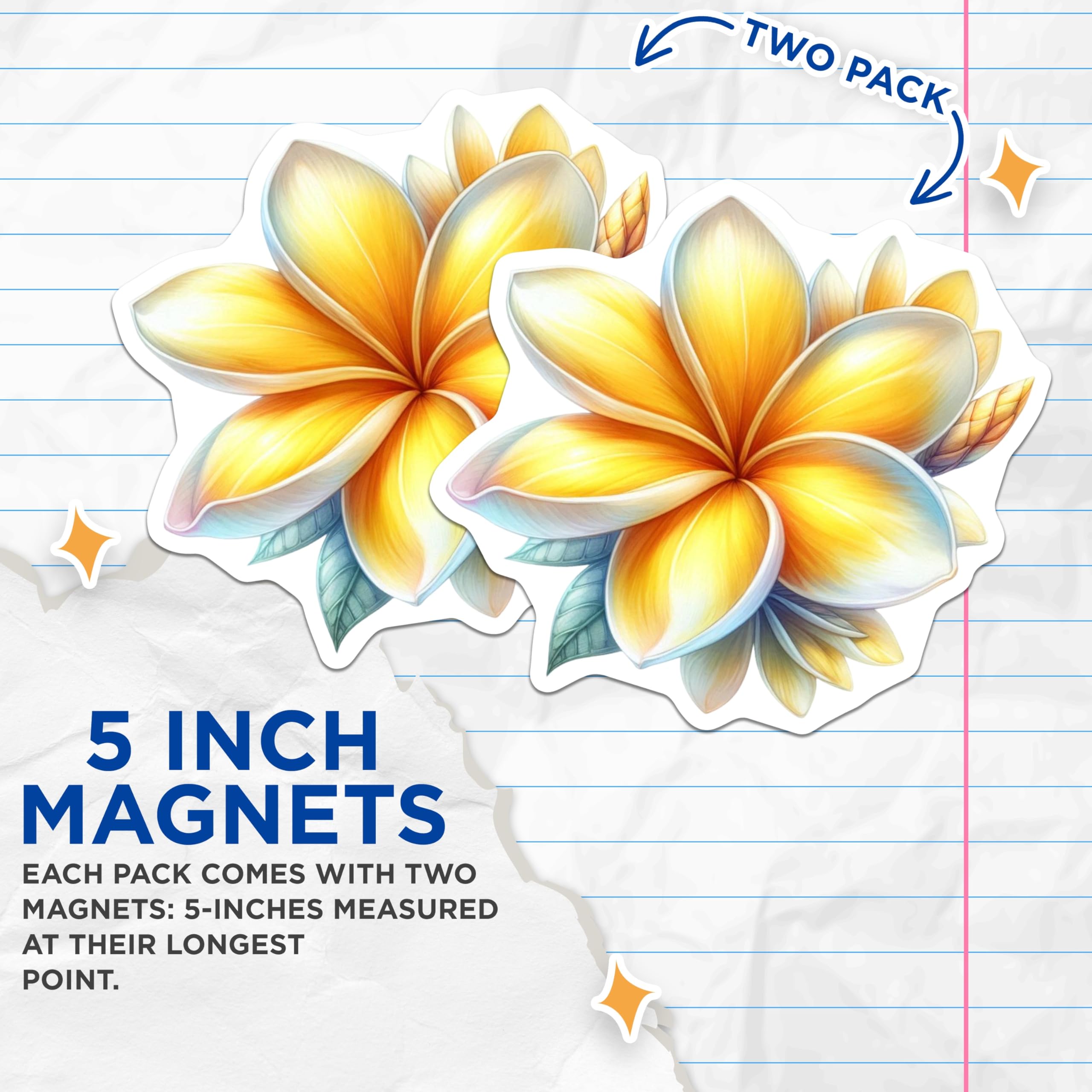(2 Pack) Plumeria Blossom Magnets - Exotic Hawaiian Floral Decor - Refrigerator Accent Locker Whiteboard Art - 5 Inches On Longest Side - Thick Durable Magnet - Made in USA - MAG21962