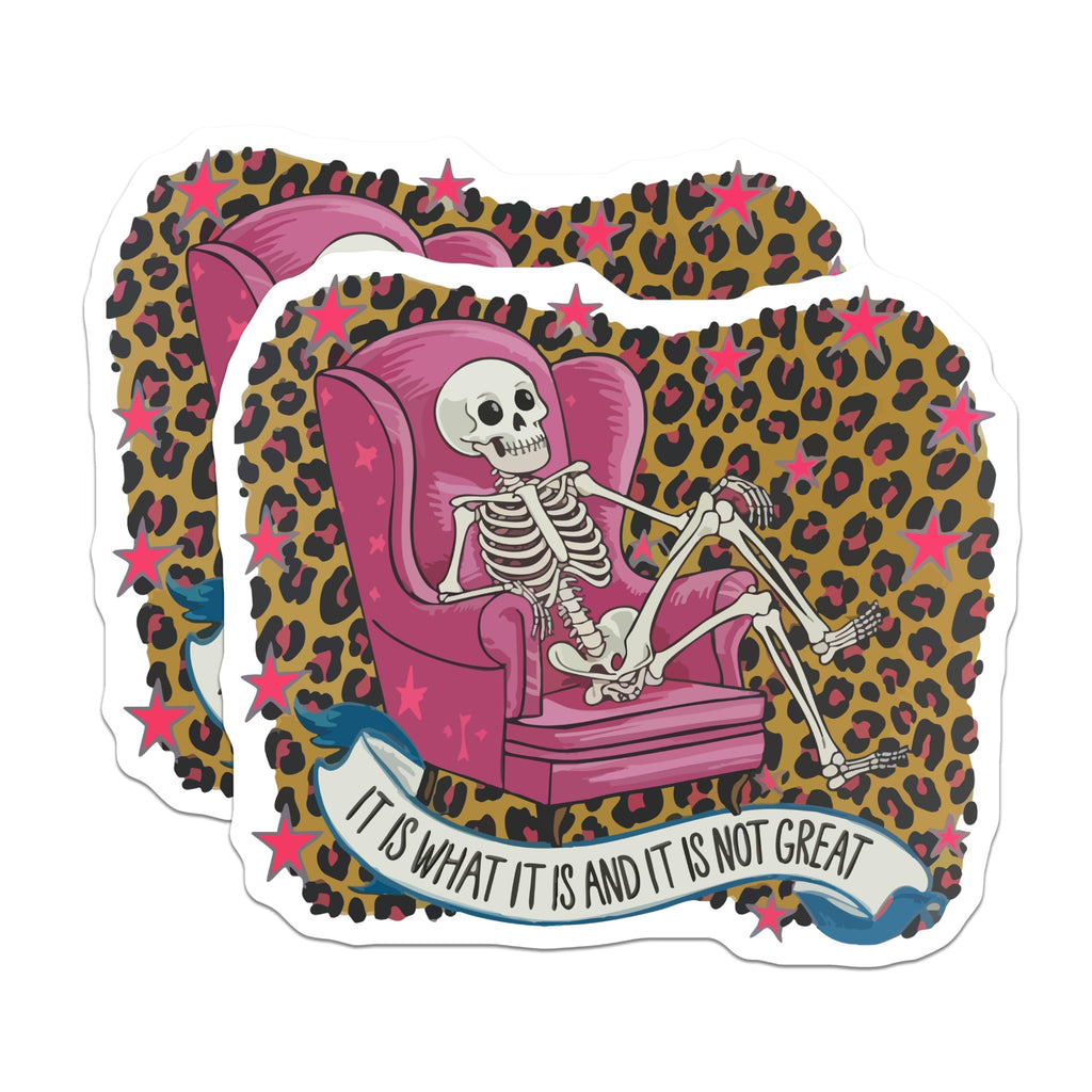 (2 Pack) Skeleton Magnets - Sarcastic Lounging Quote - Leopard Print Decor - 5 Inches On Longest Side - Thick Durable Magnet - Made in USA - MAG22799