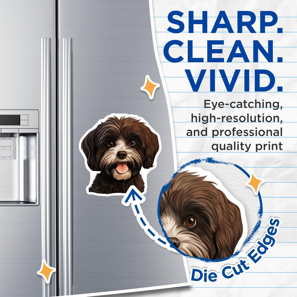 (2 Pack) Havanese Dog Magnets - Happy Fluffy Puppy Illustration - Pet Lover Home Decor - Adorable Canine Art Piece - 5 Inches On Longest Side - Thick Durable Magnet - Made in USA - MAG24156