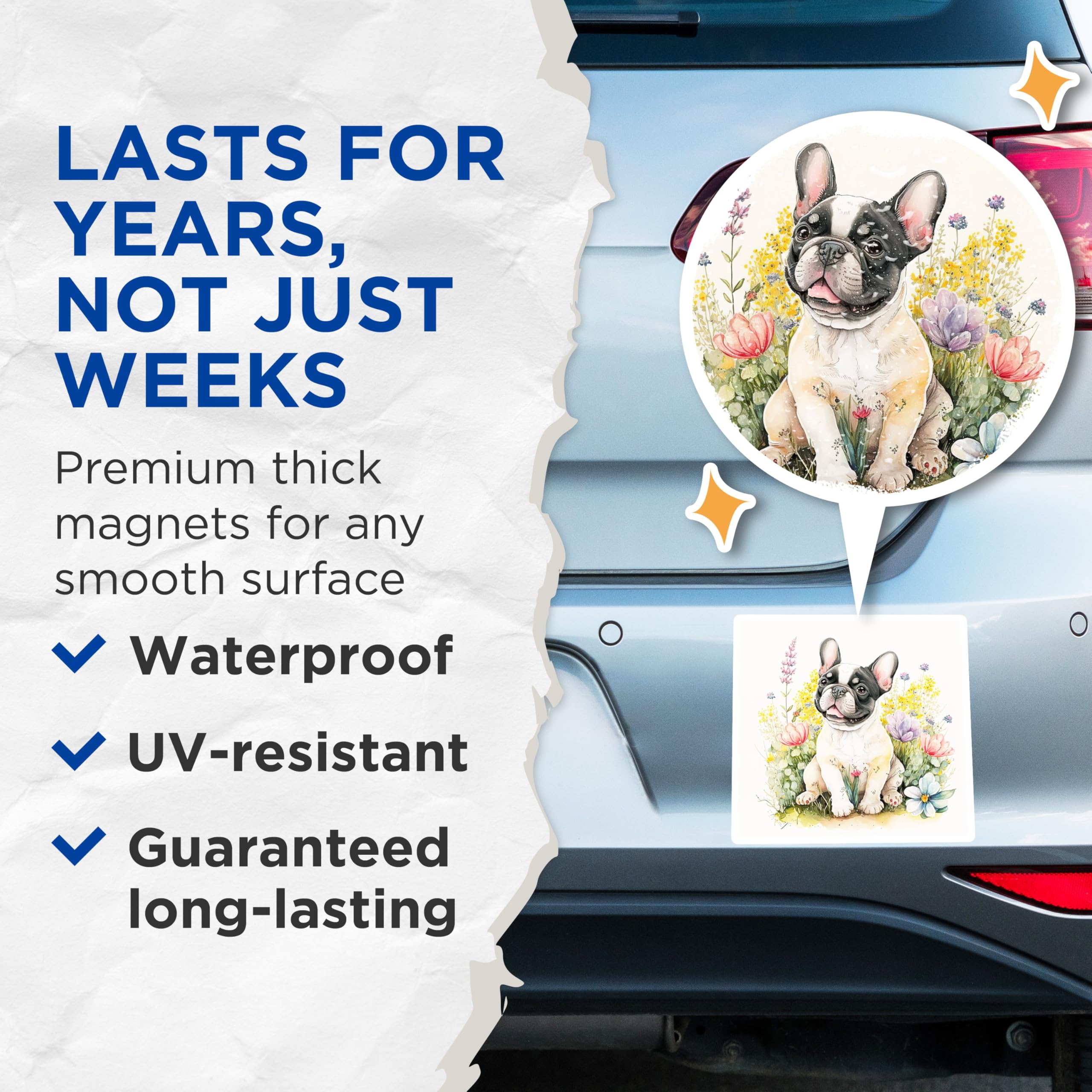 (2 Pack) French Bulldog Magnets - Cute Dog Breed Decor - Floral Art Refrigerator Magnets - 5" On Longest Side - Premium Magnet - for Cars, Refrigerators, Toolboxes, Lockers - Made in USA - MAG14011