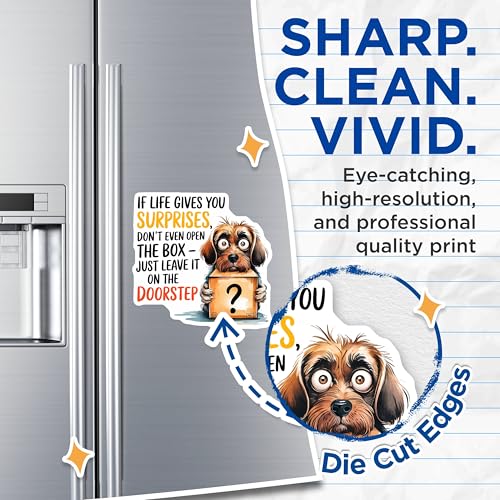 (2 Pack) Funny Dog Quote Magnets Magnets - Cute Dog with Box Picture - 5" On Longest Side - Made in USA - Sticks to Refrigerators & Metal Surfaces - MAG8751