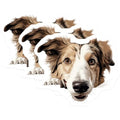 (3 Pack) Border Collie Decals - Dog Breed Stickers - Laptop Car Decals - 3 Inches On Longest Side - Easy Peel & Apply - Made in USA - 3MCS8646