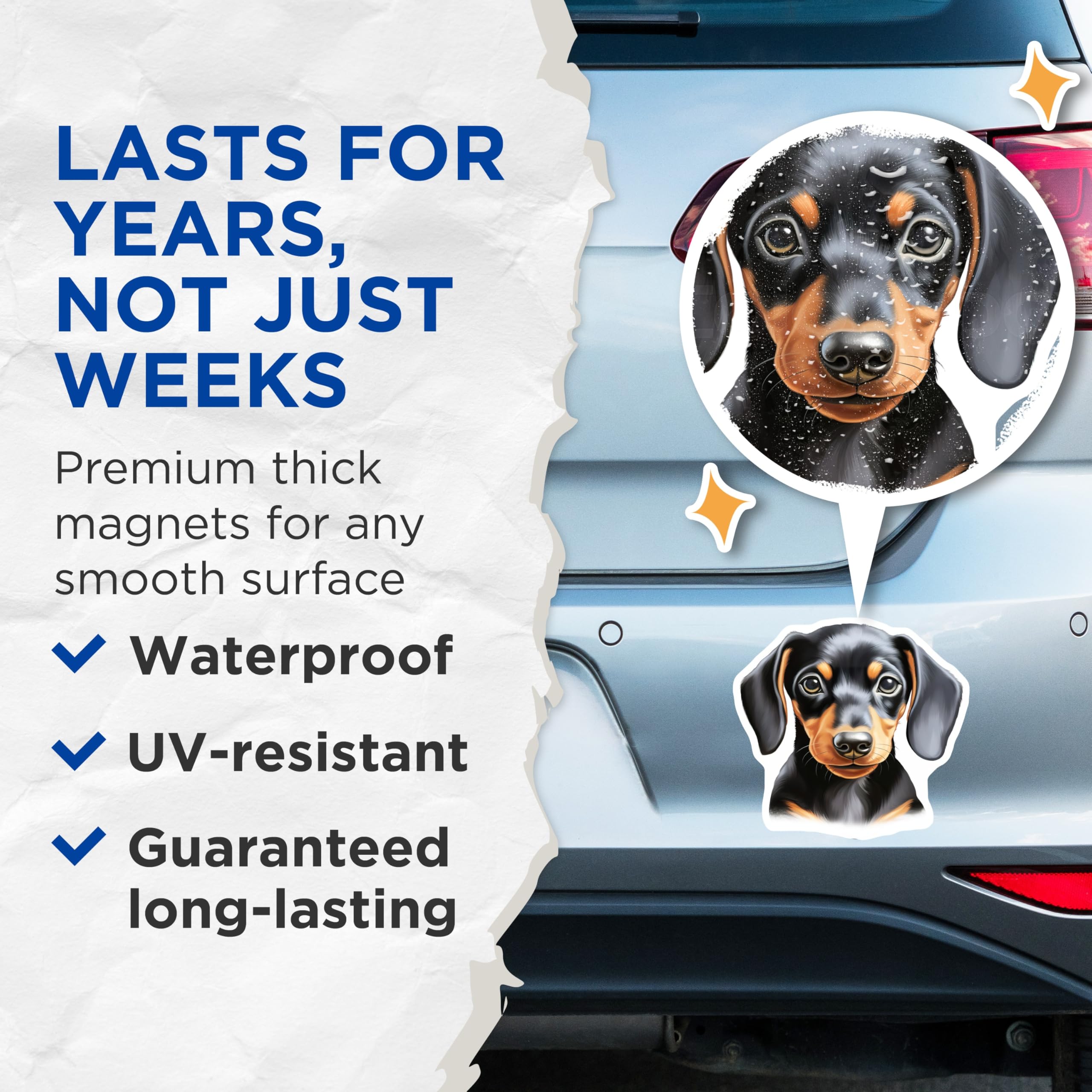 (2 Pack) Dachshund Puppy Magnets - Wiener Dog Decor - Pet Lover Refrigerator Art - 5 Inches On Longest Side - Thick Durable Magnet - Made in USA - MAG27993