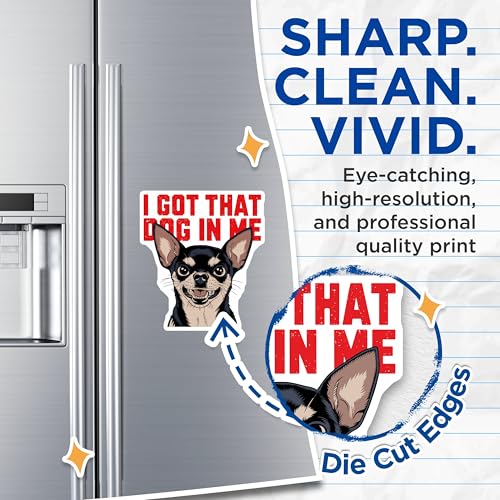 (2 Pack) I Got That Dog in Me Magnets - Funny Dog Art - Humor Fridge Magnets - 5" On Longest Side - for Cars, Fridges, Toolboxes - Made in USA - MAG5595