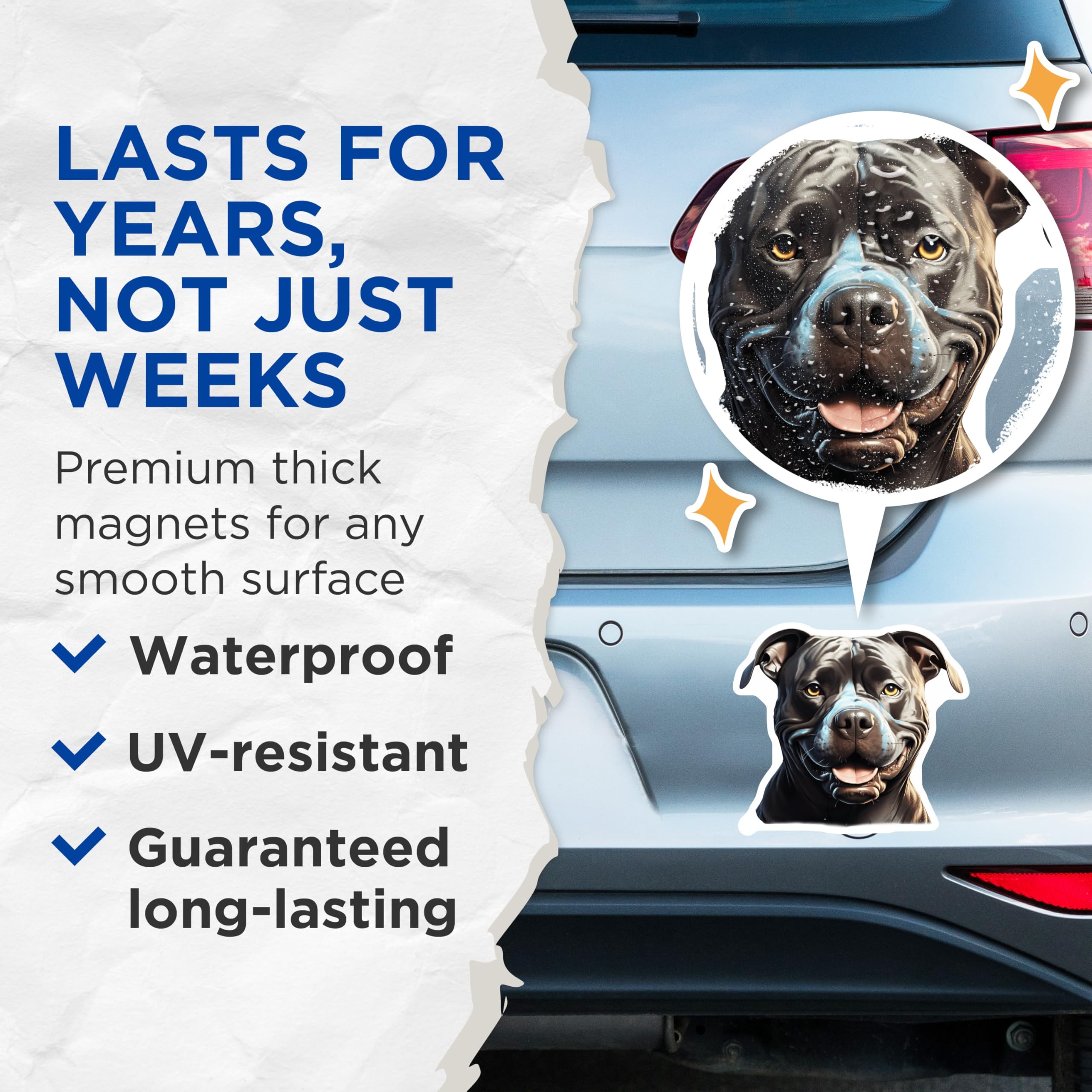 (2 Pack) Smiling Pitbull Magnets - Happy Pit Bull Dog Art - Pet Parent Kitchen Fridge Decor - Animal Lover Locker Magnet - 5 Inches On Longest Side - Thick Durable Magnet - Made in USA - MAG26441
