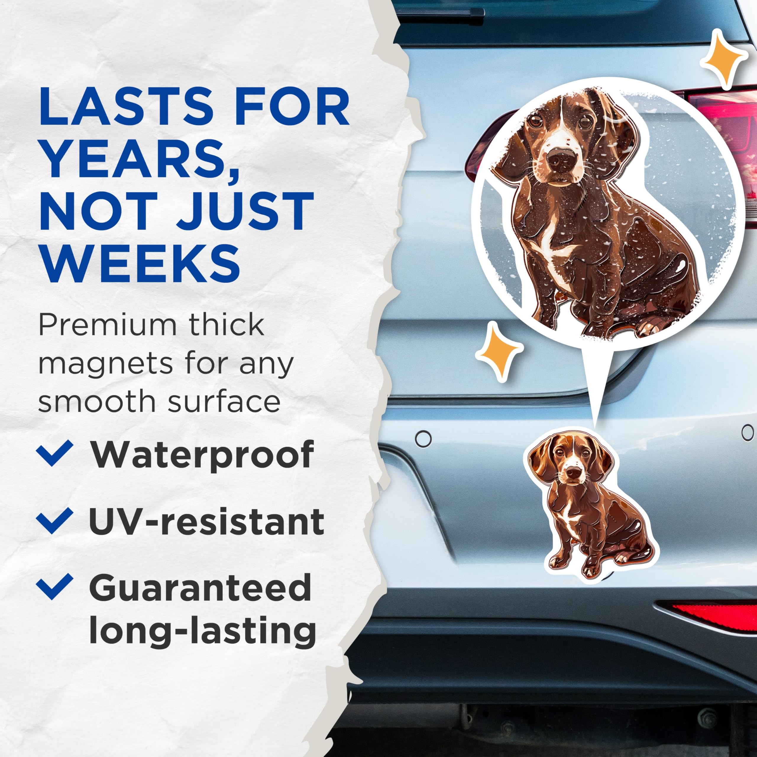 (2 Pack) Dachshund Dog Magnets - Cute Weenie Dog - Fridge Magnets - 5" On Longest Side - Premium Magnet - for Cars, Refrigerators, Toolboxes, Lockers - Made in USA - MAG16531