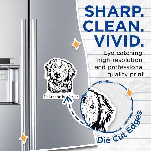 (2 Pack) Labrador Retriever Magnets - Dog Lover Accessories - Cute Animal Fridge - 5" On Longest Side - for Cars, Fridges, Toolboxes - Made in USA - MAG4014