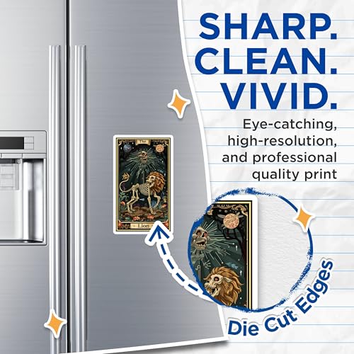 (2 Pack) The Lion Skeleton Magnets - Halloween - Gothic Art - Fantasy Magnets - 5" On Longest Side - for Cars, Fridges, Toolboxes - Made in USA - MAG3697