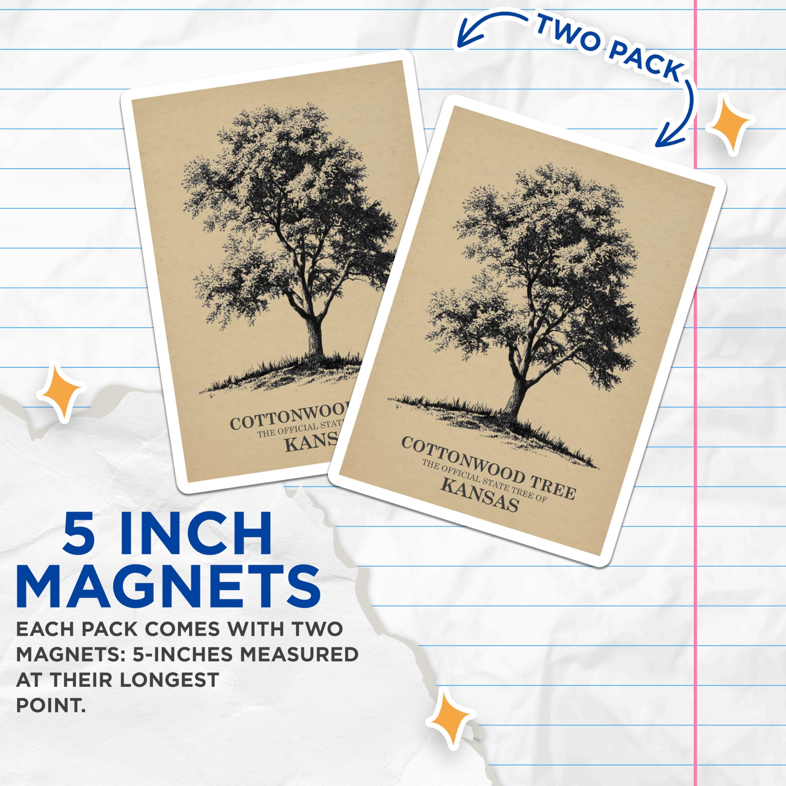 (2 Pack) Kansas Magnets - Cottonwood Tree - State Tree Magnets - 5" On Longest Side - Premium Magnet - for Cars, Refrigerators, Toolboxes, Lockers - Made in USA - MAG18590