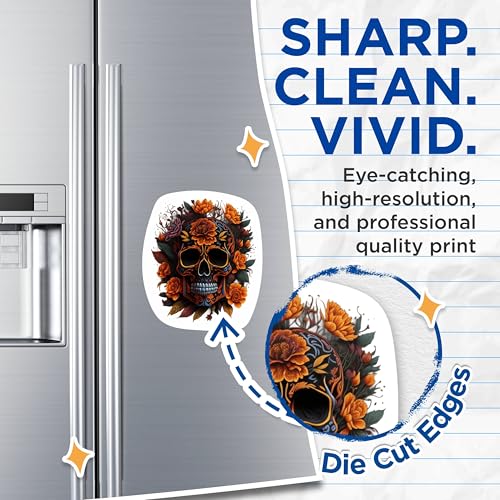 (2 Packs) Gothic Skulls with Orange Rose Magnets - Skull and Rose Design Magnets - 5 Inches On Longest Side - Premium Magnet - for Fridges, Toolboxes, Cars - Made in USA - MAG2304
