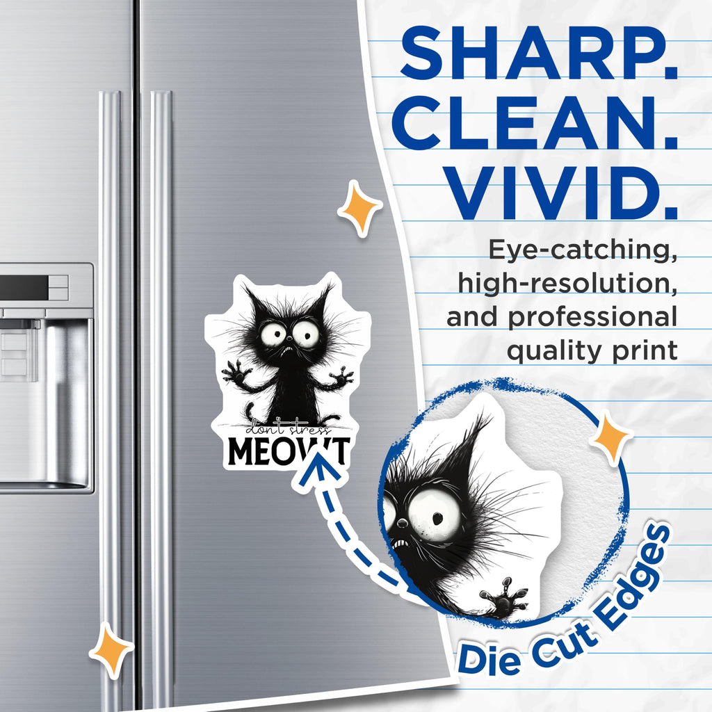 (2 Pack) Crazy Cat Lady Magnets - Funny Black Cat - Don't Stress Meowt Refrigerator Decor - 5" On Longest Side - Premium Magnet - for Cars, Refrigerators, Toolboxes, Lockers - Made in USA - MAG14598