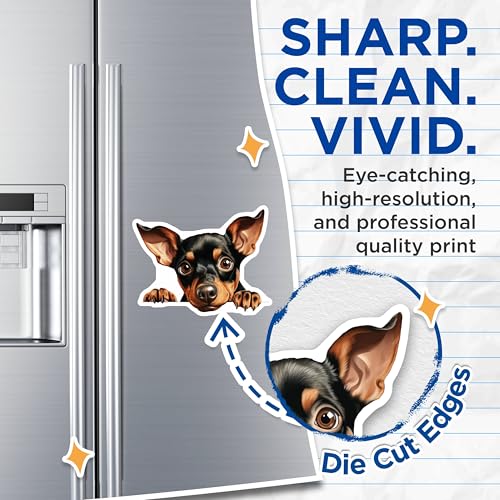(2 Pack) Pet Lover Home Decor Magnet - 5" On Longest Side - Sticks to Smooth Flat Surfaces - Made in USA - MAG10223