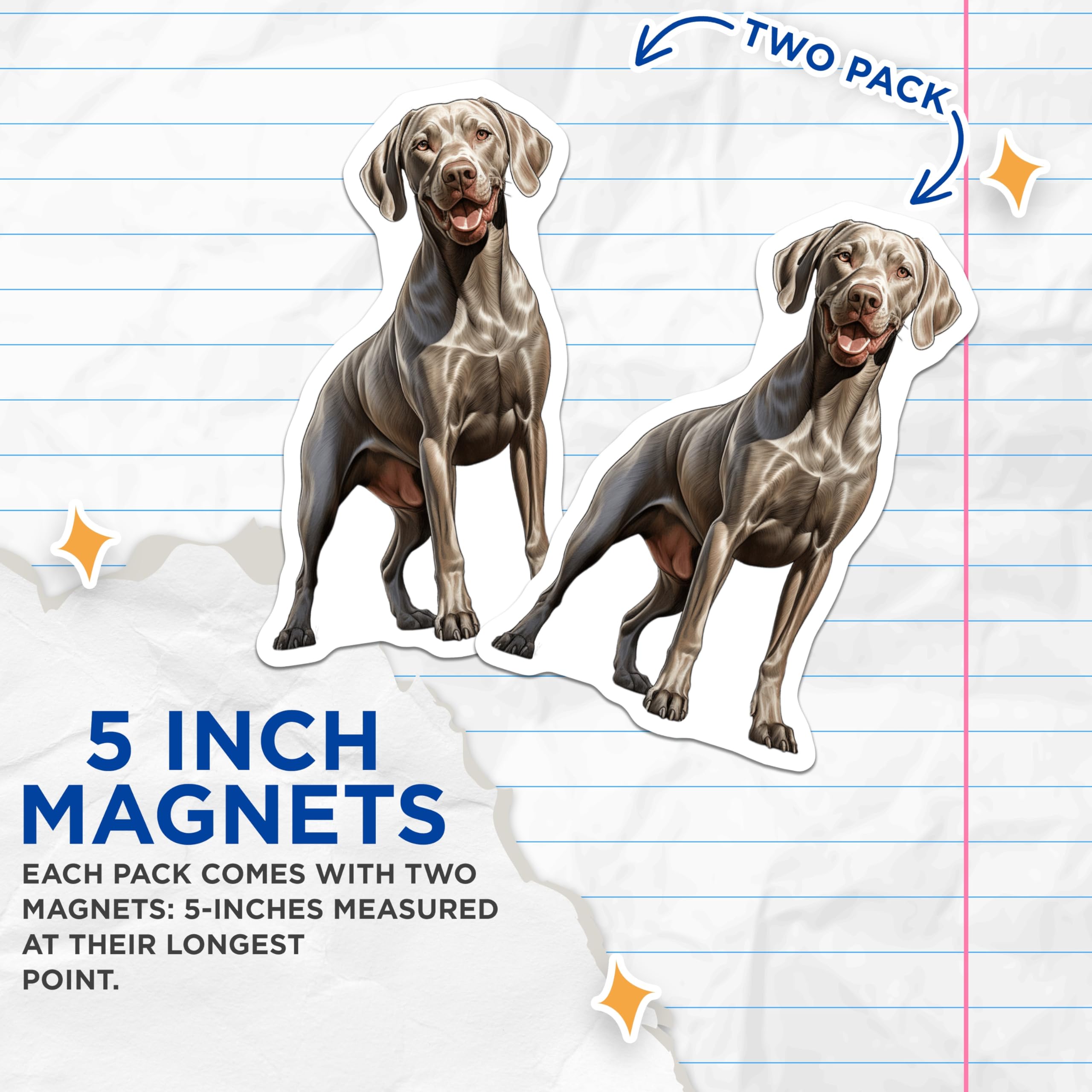 (2 Pack) Weimaraner Magnets - Lifelike Dog Breed Art - Pet Lover Refrigerator Decor - Dog Mom Accessory - 5 Inches On Longest Side - Thick Durable Magnet - Made in USA - MAG28872