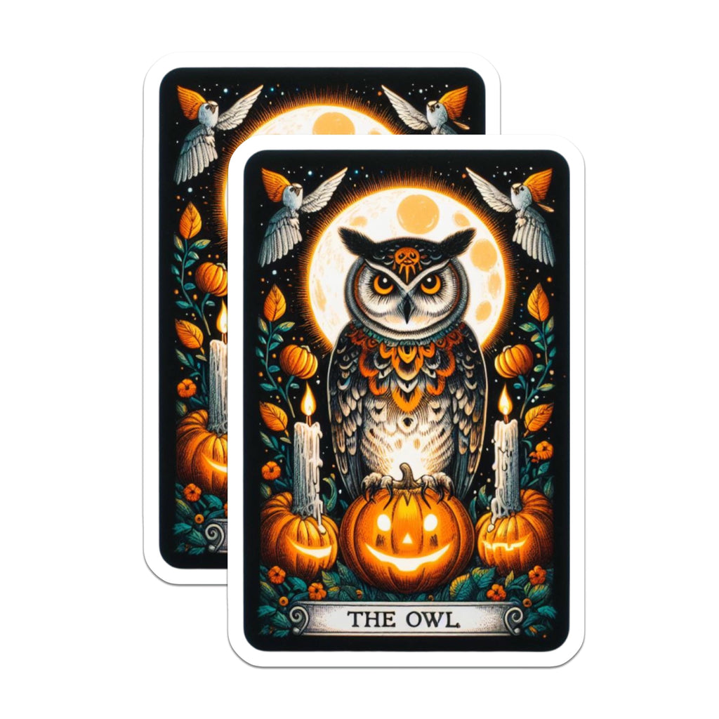 (2 Pack) Enchanting Owl Magnets - Mystical Halloween Moon Decor - Spooky Pumpkin Jack O Lantern Art for Fridge Kitchen Locker - 5 Inches On Longest Side - Thick Durable Magnet - Made in USA - MAG22683