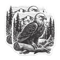 (2 Pack) Bald Eagle Wildlife Magnets - Mountain Forest Landscape Scene - Majestic Raptor Nature Home Decor - 5 Inches On Longest Side - Thick Durable Magnet - Made in USA - MAG21225
