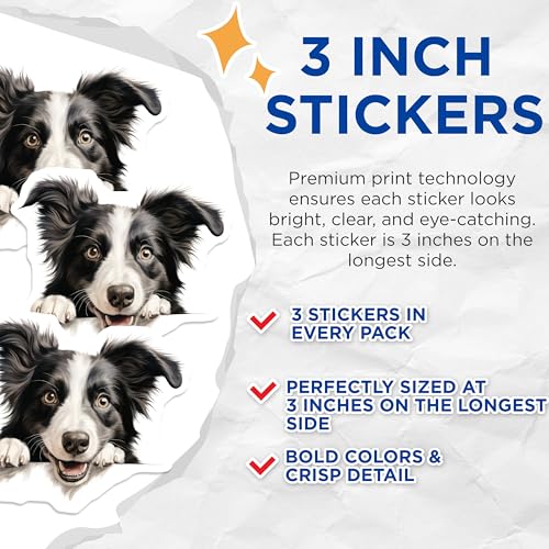 (3 Pack) Border Collie Decals - Dog Lover Decor - Cute Puppy Decals - 3 Inches On Longest Side - Easy Peel & Apply - Made in USA - 3MCS8644