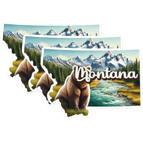 (3 Pack) Montana Bear Decals - State Pride Stickers - Laptop Decals - 3 Inches On Longest Side - Easy Peel & Apply - Made in USA - 3MCS0146