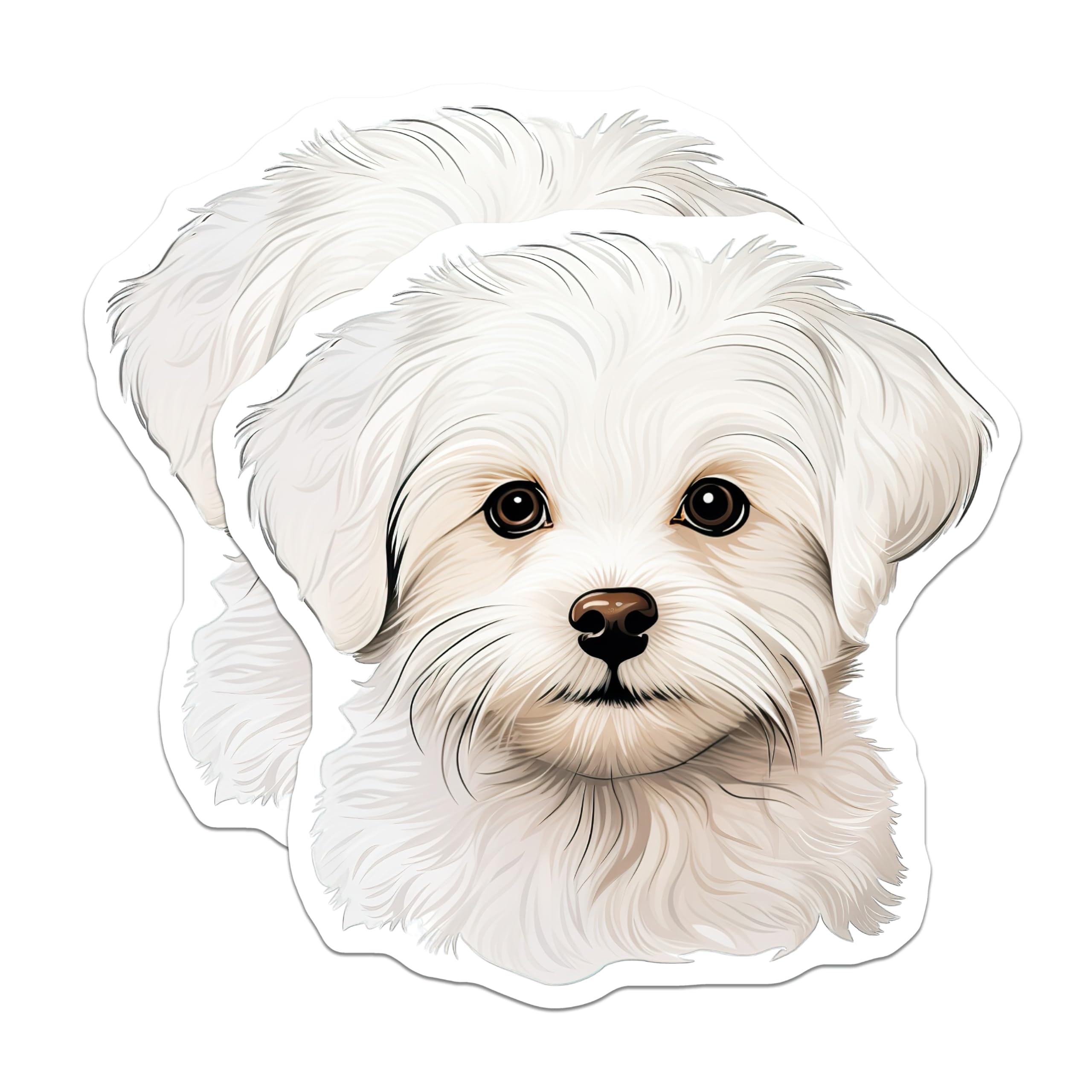 (2 Pack) Cute White Puppy Magnets - Maltese Dog Lover - Pet Owner Refrigerator Decor - 5 Inches On Longest Side - Thick Durable Magnet - Made in USA - MAG27419
