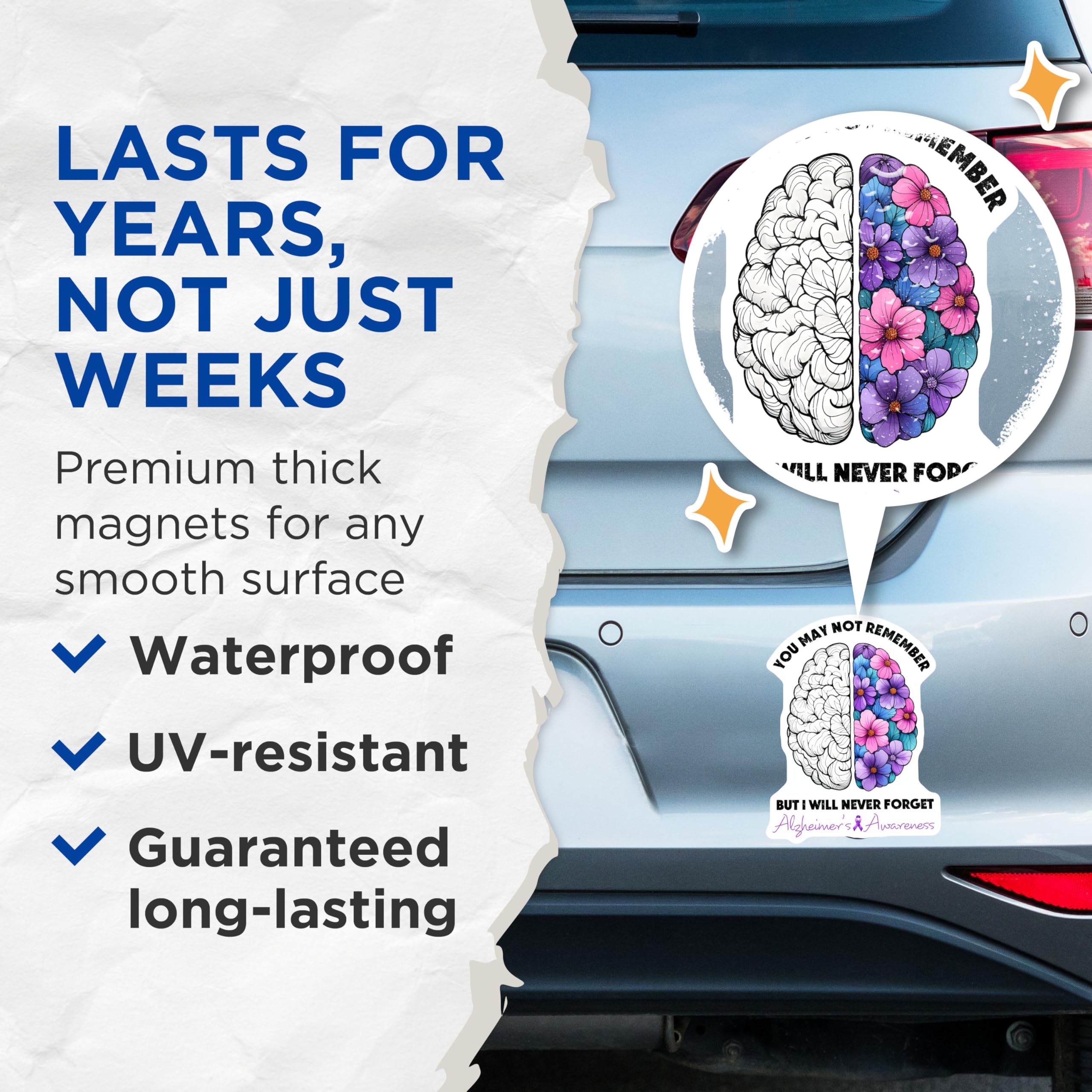 (2 Pack) You May Not Remember But I Will Never Forget Magnet - Brain and Flower Design - 5" On Longest Side - Sticks to Smooth Flat Surfaces - Made in USA - MAG9795