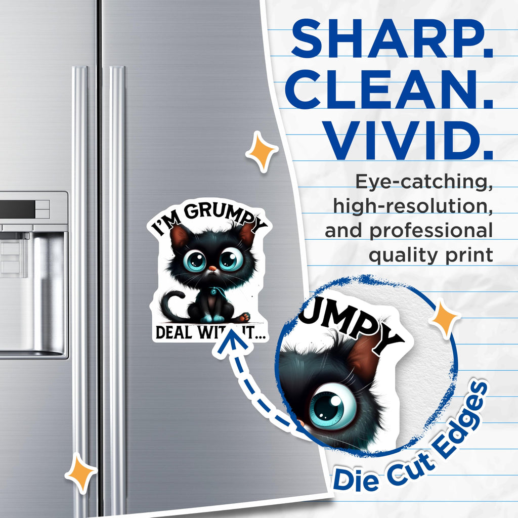 (2 Pack) Grumpy Cat Magnets - Funny Kitty Decor - Sassy Feline Fridge Magnets - 5" On Longest Side - Premium Magnet - for Cars, Refrigerators, Toolboxes, Lockers - Made in USA - MAG16264