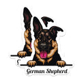 (2 Pack) German Shepherd Dog Stickers - Dog Lover Sticker - Pet Owner Decal - 5" On Longest Side - Sticks to Smooth Flat Surfaces - Made in USA - BMCS4215