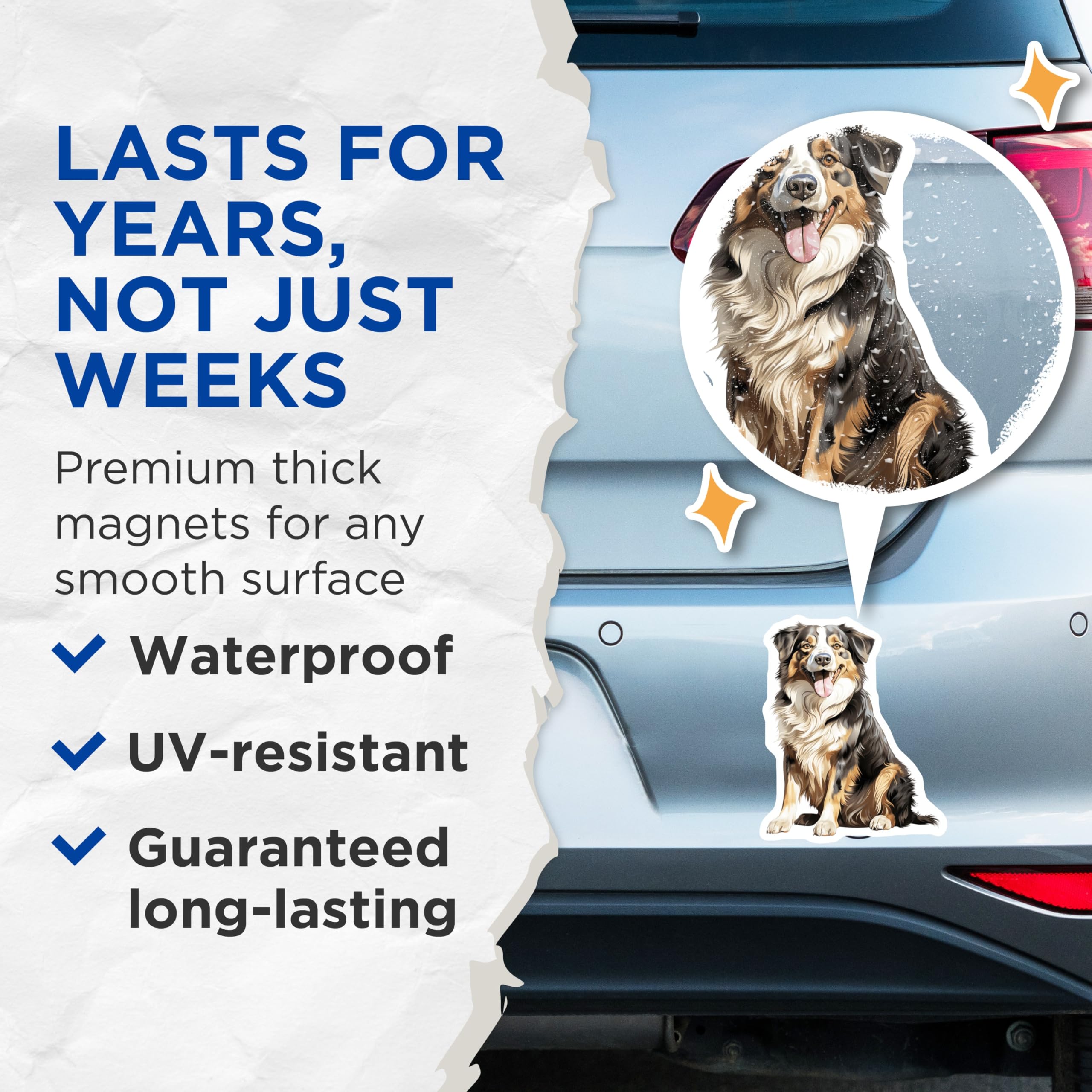(2 Pack) Australian Shepherd Magnets - Dog Lover Accessories - Pet Memorial Refrigerator Decor - 5 Inches On Longest Side - Thick Durable Magnet - Made in USA - MAG29014
