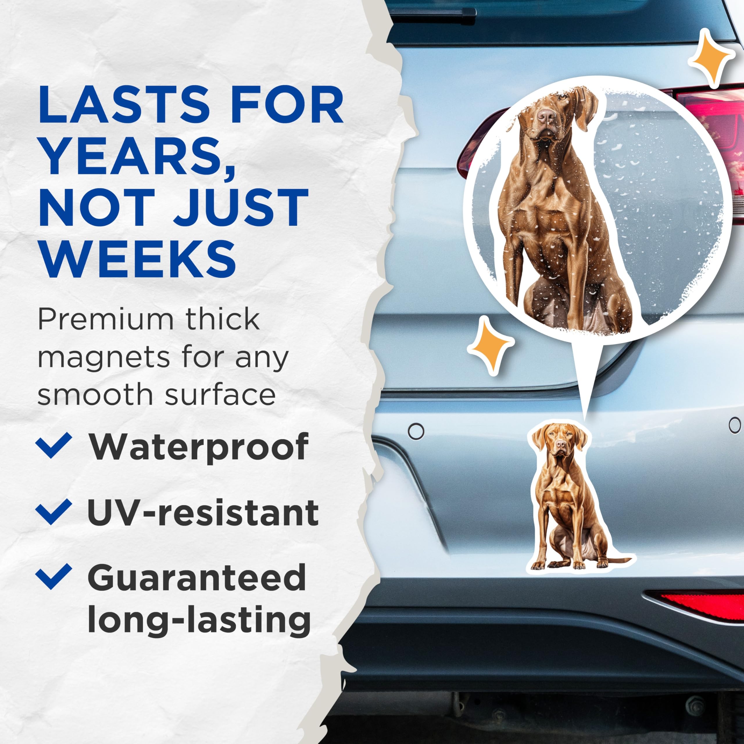 (2 Pack) Vizsla Dog Magnets - Realistic Vizsla Art - Pet Owner Home Decor - 5 Inches On Longest Side - Thick Durable Magnet - Made in USA - MAG30275