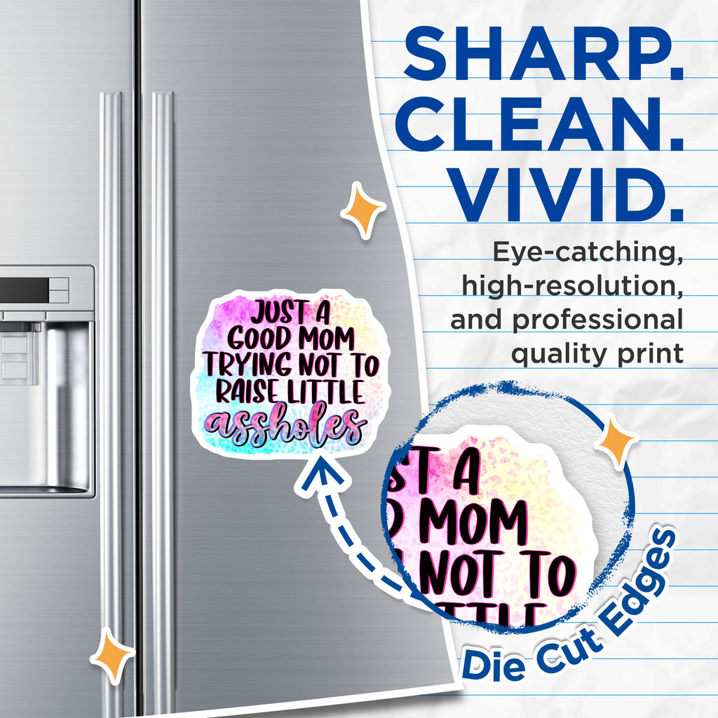 (2 Pack) Sassy Mom Magnets - Funny Parenting Humor - Cool Motherhood Quote - Refrigerator Decor - 5 Inches On Longest Side - Thick Durable Magnet - Made in USA - MAG36814