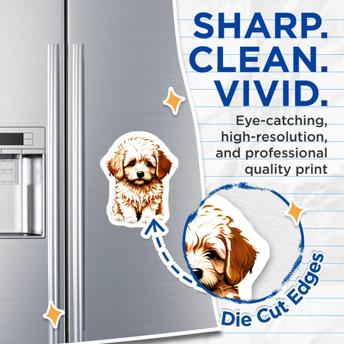 (2 Pack) Adorable Maltipoo Puppy Magnets - Fluffy Dog Lover Decor - Cute Pet Animal Refrigerator Locker Organizer Accessory - 5 Inches On Longest Side - Thick Durable Magnet - Made in USA - MAG22107