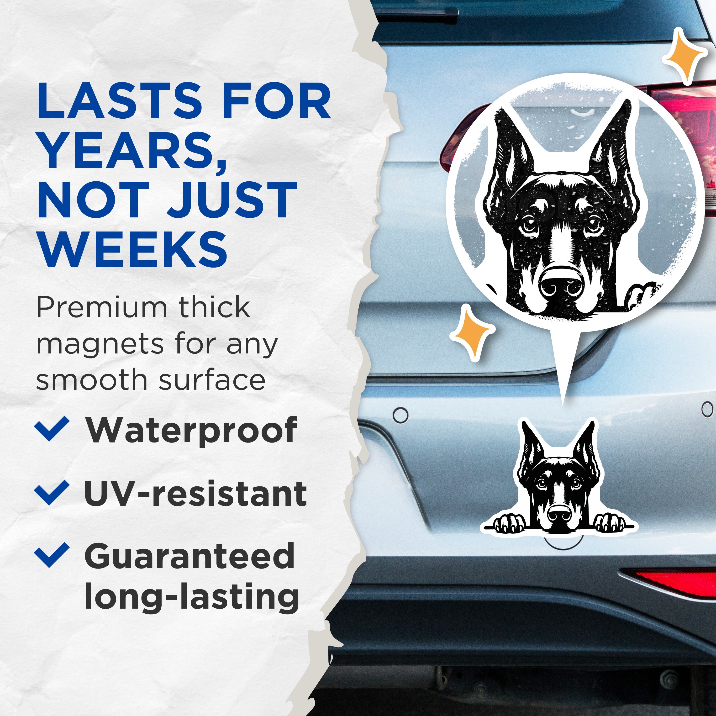 (2 Pack) Doberman Magnets - Doberman Pinscher Art - Dog Lover Decor - Pet Parent Refrigerator Magnets - 5 Inches On Longest Side - Thick Durable Magnet - Made in USA - MAG39794