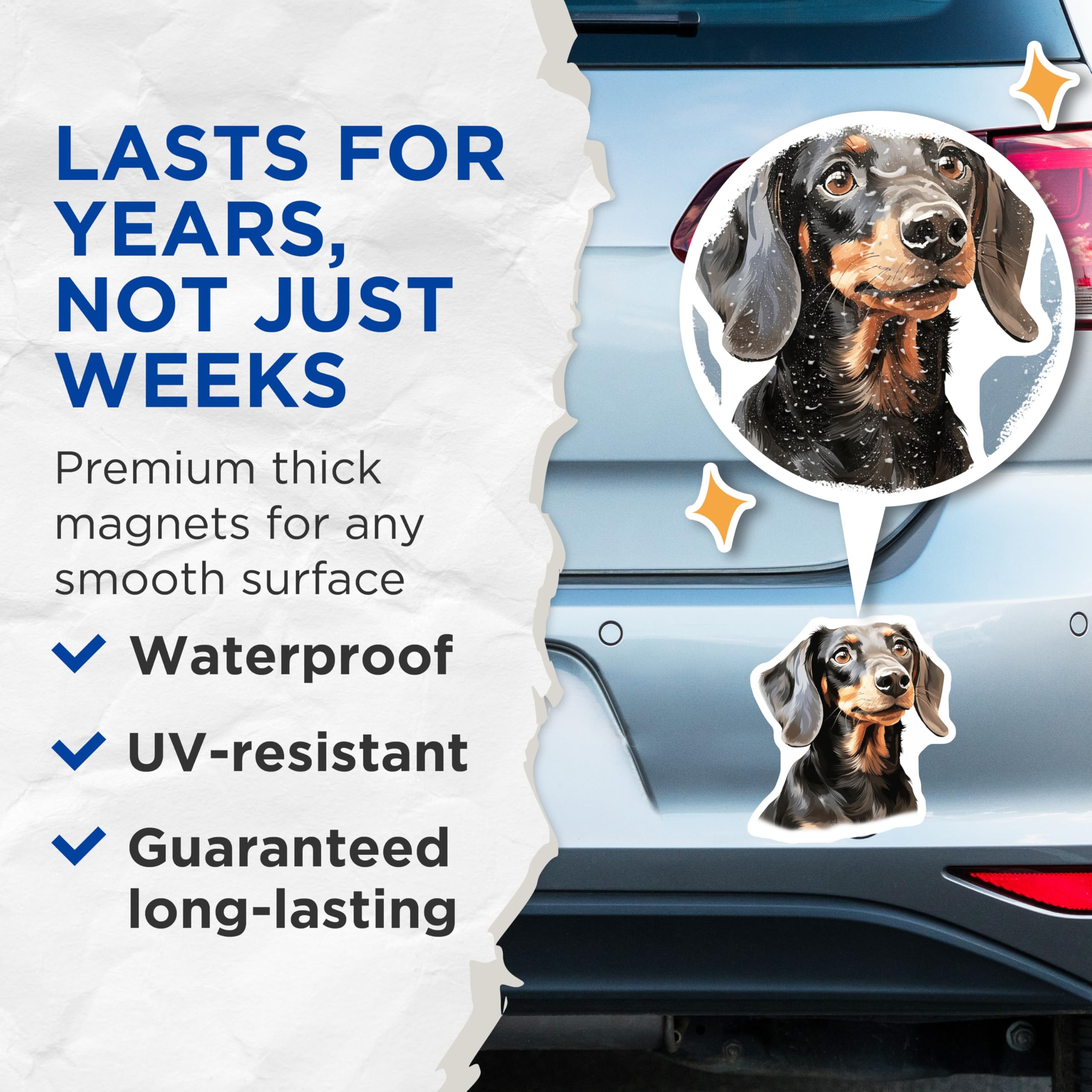 (2 Pack) Black Tan Dachshund Magnets - Doxie Dog Portrait - Pet Lover Fridge Decor - 5 Inches On Longest Side - Thick Durable Magnet - Made in USA - MAG30876