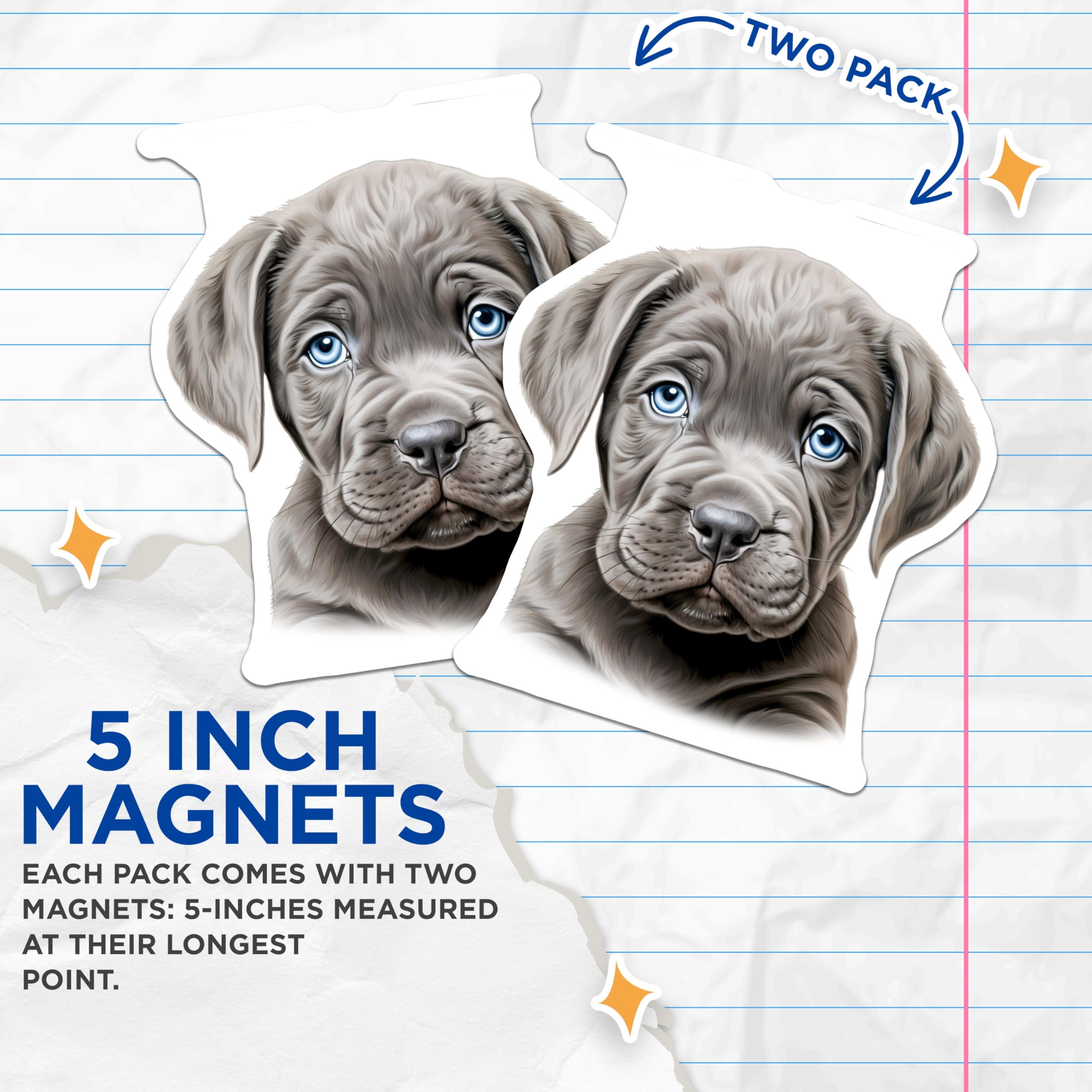 (2 Pack) Weimaraner Puppy Magnets - Adorable Blue Eyed Dog Lover Decor - Pet Parent Home Accents - Cute Animal Fridge Magnet - 5 Inches On Longest Side - Thick Durable Magnet - Made in USA - MAG30705