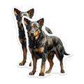 (2 Pack) Australian Cattle Dog Magnets - Blue Heeler Dog Art - Pet Portrait Refrigerator Magnets - 5 Inches On Longest Side - Thick Durable Magnet - Made in USA - MAG30154