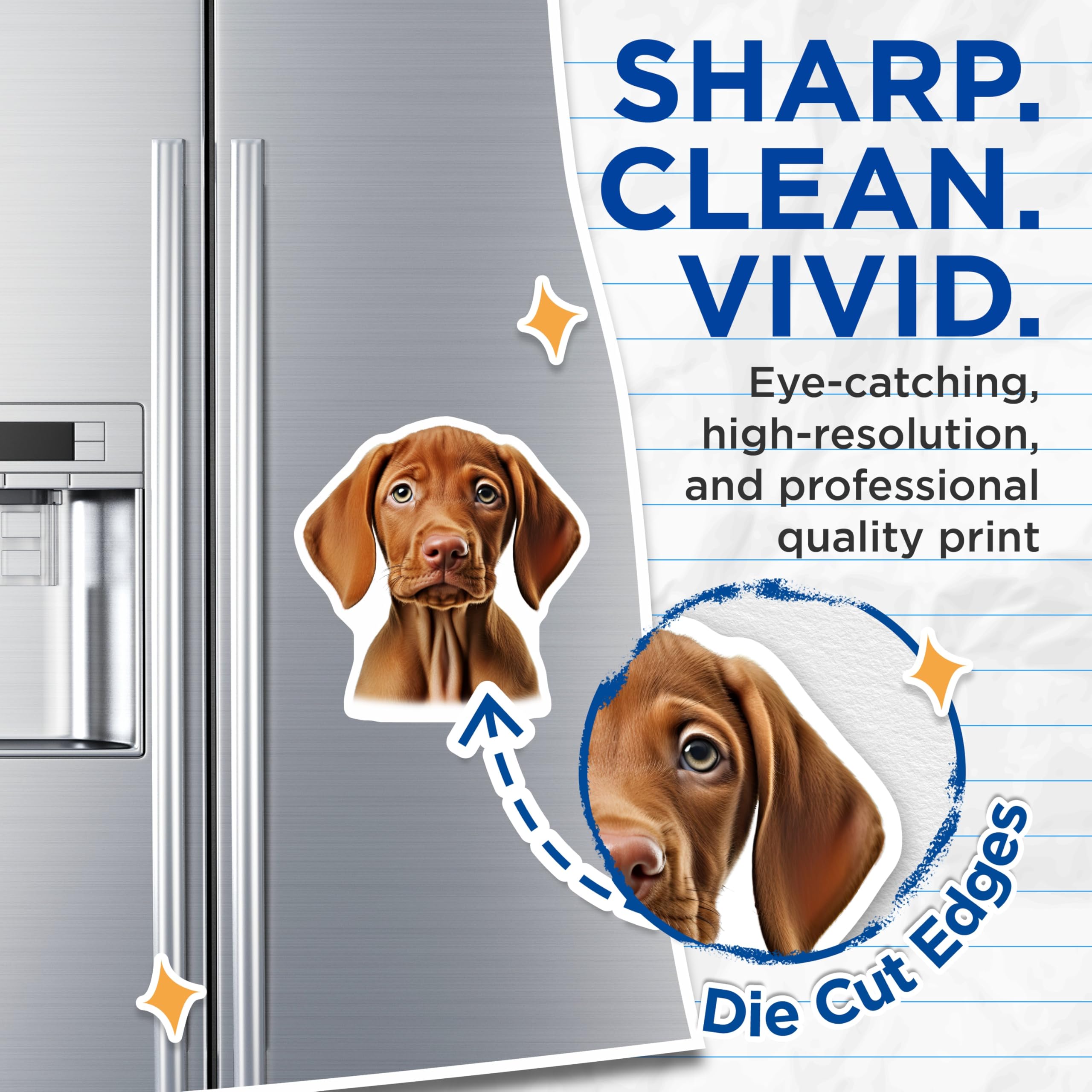 (2 Pack) Pleading Puppy Eyes Magnets - Dog Lover Kitchen Decor - Vizsla Owner Refrigerator - 5 Inches On Longest Side - Thick Durable Magnet - Made in USA - MAG28364