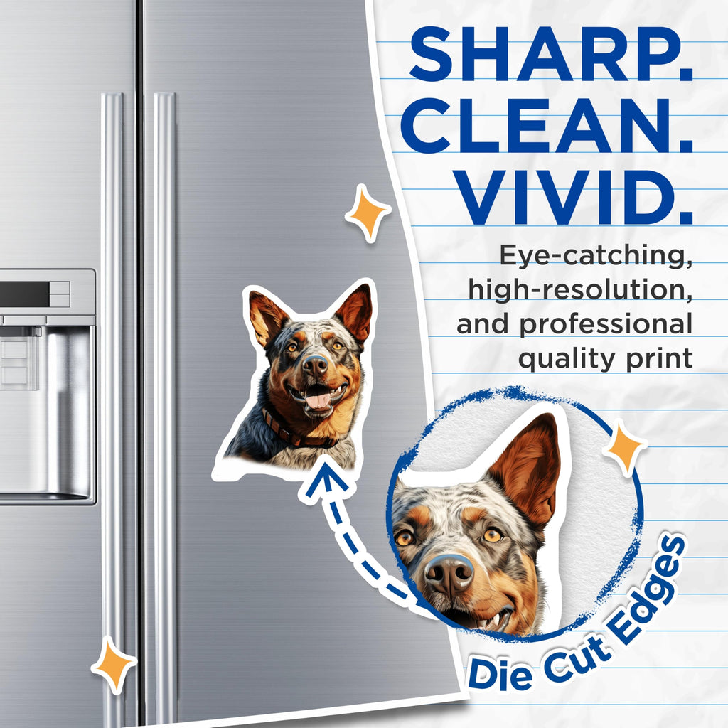 (2 Pack) Blue Heeler Dog Magnets - Smiling Australian Cattle Dog Art - Happy Pet Lover Decor - 5 Inches On Longest Side - Thick Durable Magnet - Made in USA - MAG30688