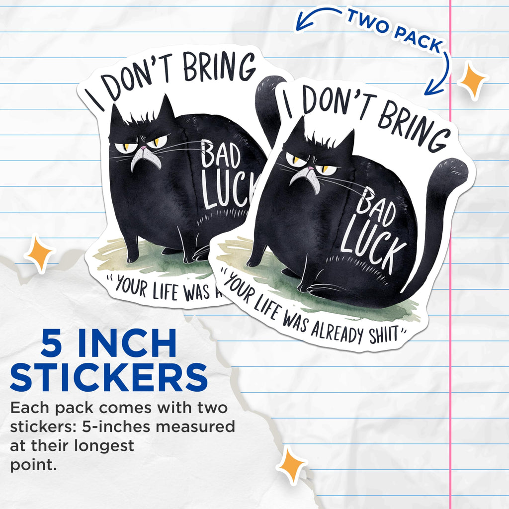 (2 Pack) Funny Cat Stickers - Grumpy Cat Humor Stickers - Sassy Cat Quote Stickers - 5" On Longest Side - Sticks to Any Smooth Flat Surface - Made in USA - BMCS3451