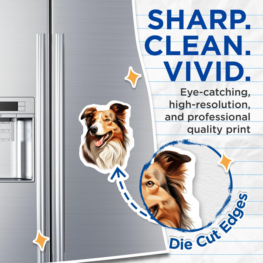 (2 Pack) Happy Collie Dog Magnets - Lifelike Pet Portrait Decor - Animal Lover Kitchen Refrigerator Magnets - 5 Inches On Longest Side - Thick Durable Magnet - Made in USA - MAG23855