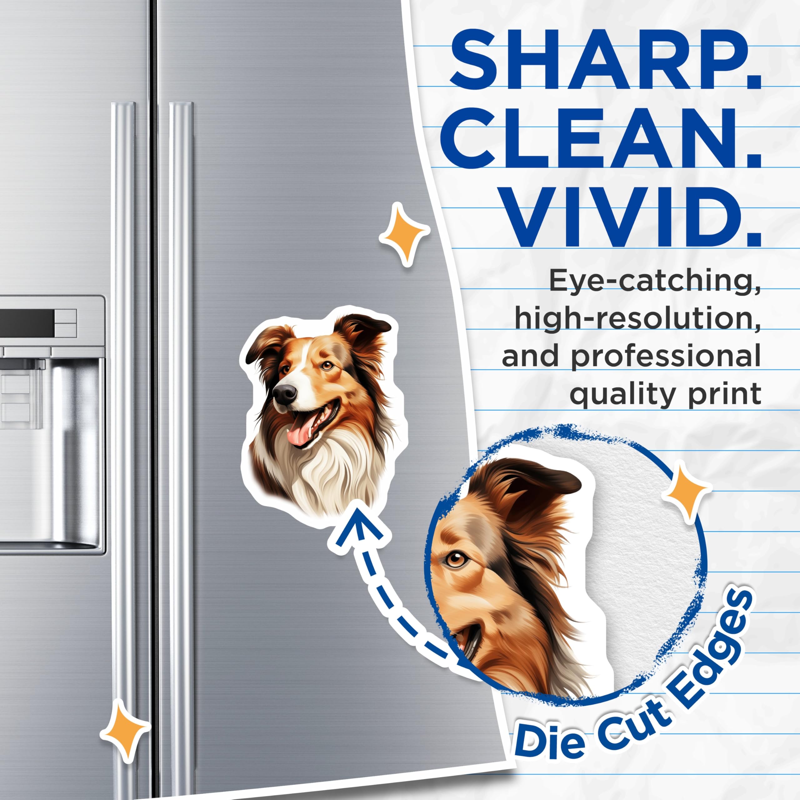 (2 Pack) Happy Collie Dog Magnets - Lifelike Pet Portrait Decor - Animal Lover Kitchen Refrigerator Magnets - 5 Inches On Longest Side - Thick Durable Magnet - Made in USA - MAG23855