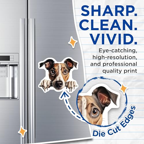 (2 Pack) Refrigerator Decoration Magnet - 5" On Longest Side - Sticks to Smooth Flat Surfaces - Made in USA - MAG10188